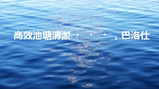 高效池塘清淤，巴洛仕設(shè)備助您一臂之力